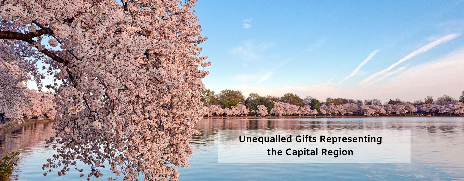 Capital Area Gifts